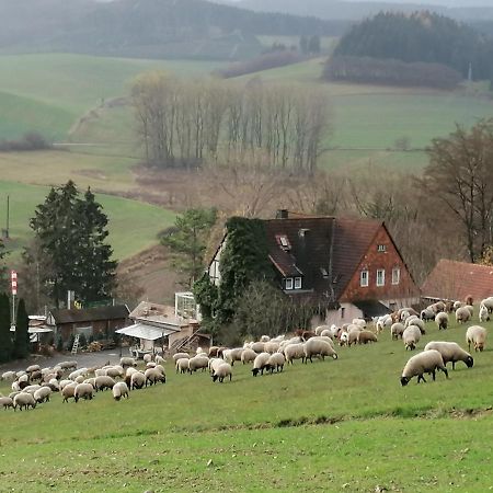 Villa Haus Sonnenberg Willingen  Exterior foto