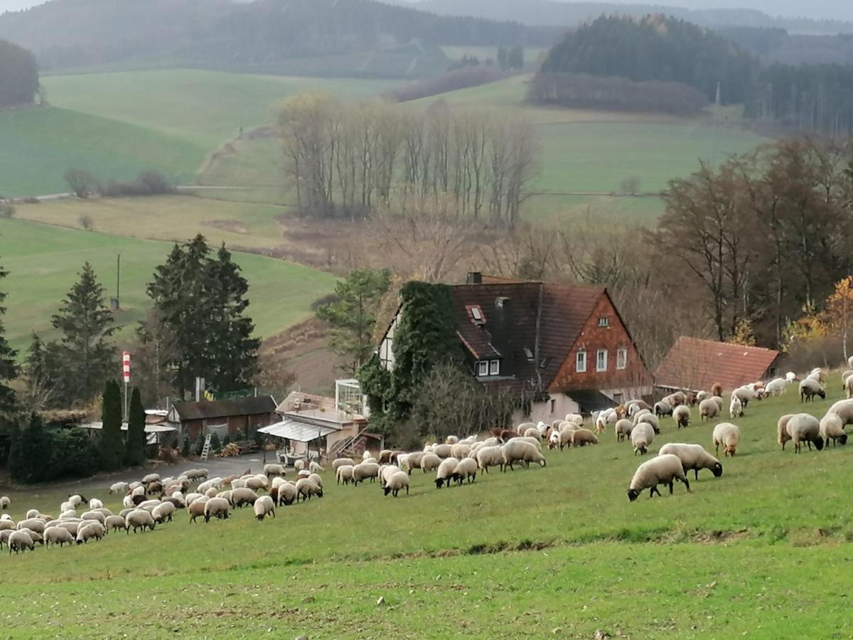 Villa Haus Sonnenberg Willingen  Exterior foto